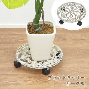 [y][vgL[T[N 6281 cY] ԑ t[X^h   LX^[t ACA K[fjOG vgL[ CeA u  Aؔ v