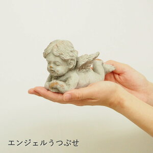 [y][GWFԂ 1407 cY] Vg u 킢 IuWF  G K[fjO Vg̒u AeB[N ~j CeAG  GWF CeA K[f 