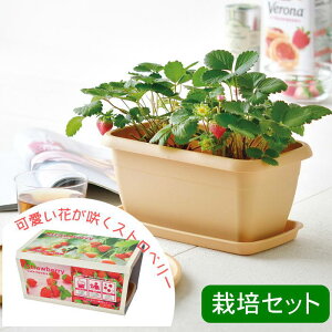 [y] [ GWCv^[ xW Xgx[ GD-1044 V| ] ͔|Zbg ͔|Lbg ʕ  C`S   A ƒ؉ ċx R ϗtA  ͔| | qǂ q