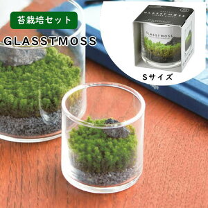 [y] [ GLASSTMOSS OXgX S GD-933 V| ]  eE ͔|Zbg ۃeE CeA Lbg ۖ~ ͔|Lbg 뉀 XiSP  ͔| | CoEh yY {