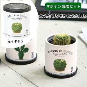 [y] [ CACTUS de CACTUS JN^X de JN^X 01 ۃT{e GD-930-01 V| ] T{e ͔|Zbg 񂹐A CeA ͔|Lbg  CoEh { R ϗtA  
