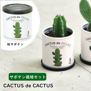 [y] [ CACTUS de CACTUS JN^X de JN^X 02 T{e GD-930-02 V| ] T{e ͔|Zbg 񂹐A CeA ͔|Lbg  CoEh { R ϗtA  
