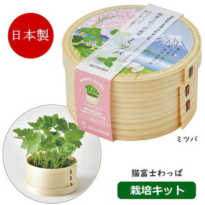 [y] [ Lxm ~co GD-1050-01 V| ] ͔|Zbg  v[g H܂ ͔|Lbg   t ͔| | n R ̓  Mtg yY { ؍͔|