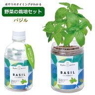 【即出荷】 水耕栽培 水耕栽培キット 栽培セット 観葉植物 ポット 容器 キット おしゃれ グリーンペット …