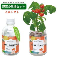 【即出荷】 水耕栽培 水耕栽培キット 栽培セット トマト 観葉植物 ポット 容器 キット おしゃれ グリーン…