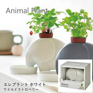 [y] [Gvg zCg GD-95502 V|] ͔|Zbg ͔|Lbg  n[u   ͔| ƒ؉ | ʋ q R ϗtA  CeA G  Mtg 