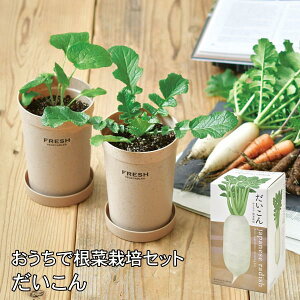 [y] [ō؍͔|Zbg  GD-89101 V|] ͔|Zbg ͔|Lbg    卪 _CR  ͔| ƒ؉ | n q R ώ@ H ϗtA SҌ