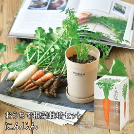 [あす楽] [おうちで根菜栽培セット にんじん GD-89102 聖新陶芸] 栽培セット 栽培キット 室内 野菜 根菜 人参 ニンジン 花 栽培 家庭菜園 園芸 収穫 子供 自由研究 観察 食育 観葉植物 初心者向け おしゃれ インテリア ギフト お土産 日本製 野菜栽培キット 母の日 発芽保証