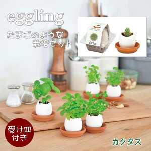 [o] [GbOO NApbP[W JN^X EG-5703 V|] ͔|Zbg ͔|Lbg  n[u  ͔| ƒ؉ | q R ώ@ H ϗtA  CeA G