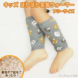 [o] [ۂۂEH[}[ LbY hbOtFCXGY] bOEH[}[ q  2003965-06 ۘaf N  bOJo[  AQ C  h ₦΍ j̎q ̎q 