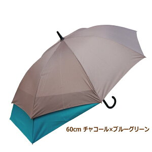 �y�����y�z �y�`���R�[��×�u���[�O���[�� 60cm�z���c�� �P �J�P �X���C�h���P60cm �c�[�g�|���J���[ SL60-2141 �W�����v�P ���P ���f�B�[�X �����Y �j�����p ���n �傫�� 60cm 72cm �����^�b�` �e�t
