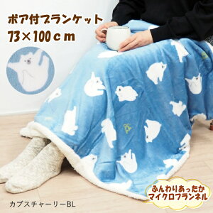 [y] [ JuX`[[BL 868038-BL tYq ] uPbg G| Ђ| 킢 LN^[ RR k ѕz Q xr[Pbg n[tPbg y 킢 }CNt