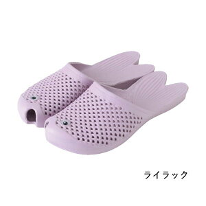 [y ] [T_ CbN ZFLY1038PU XpCX] r[`T_ fB[X T_  C  tbg t[TCY 23`25cm C ؂  Xbp y y 