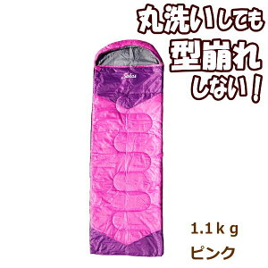 [y] [sN 1.1kg] Q Vt 􂦂 RpNg ~ ^ }bg 킢 Ԓ |zc A h y Lv h W[  lC SOKOS ySolid Earth Vt^z