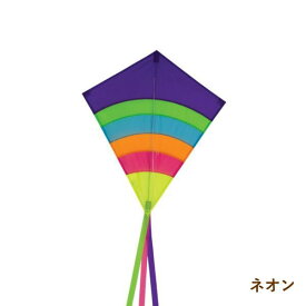 楽天市場 凧 カイト 対象 性別 子供 ユニセックス キッズ スポーツトイ アクショントイ おもちゃ の通販