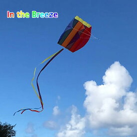 [即出荷] カイト 凧 たこ kite タコ スポーツカイト 2911 Pouch Parafoil Kite in the breeze インザブリーズ 外遊び アウトドア レジャー ピクニック 公園 キャンプ キッズ スカイスポーツ