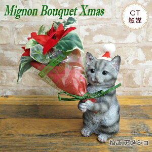 [o] [˂ AV] NX}X  Mtg CT~j NX}Xu[P 4208673-03 CT~ju[P  ETM ˂ lR L  Ck ϗtA IuWF u |CZ`A v[