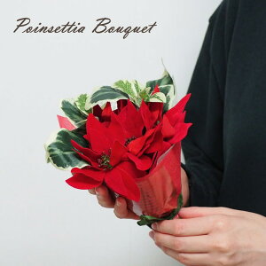 [y][|CZ`Au[P ۘaf] |CZ`A   NX}X I[ig  v[g   t[AWg Mtg CTG} ԑ NX}X[X p[eB[ 