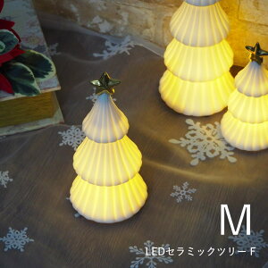 [y][LEDZ~bNc[ F (M) 4009162-02 ۘaf] u NX}Xc[ CeA G NX}X  fR[V  I[ig NX}XG k Cg  LED Xmas f