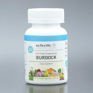 GNNeBbN o[hbN 90 Ki Eclectic Institute Inc.@Burdock  ڂ y n[u Tvg