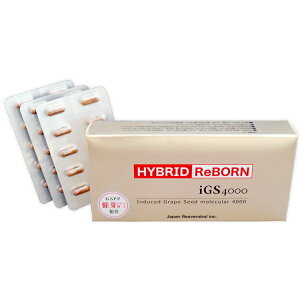 �n�C�u���b�h ���{�[�� 30�J�v�Z�� ���{���X�x���g���[�� iGS4000 �É�u�h�E��q GSPP �T�v�������g �����|�_ �A�����J�W���Z���G�L�X �i�C�A�V�� HYBRID ReBORN