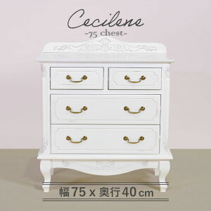 `FXg 75cm Vr[VbN t` }zK[ i zCg  AeB[N AeB[NƋ Ƌ [bp GKg ~j`FXg [`FXg ^X L