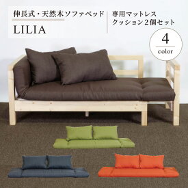 ソファベッド用マットレス クッション2個付き 3点セット 日本製 ファブリック 撥水加工 汚れにくい マットレス 座布団　セミシングル【送料無料】