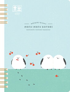 Ð쎆H ××p Om[g B6 5mm ӂӏ 킽т XH18 FURUKAWASHIKO }\ i