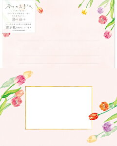 Ð쎆H ̂莆 ^[Zbg `[bv LLL468 FURUKAWASHIKO