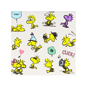 メモ 箱入り PEANUTS WOODSTOCK & SNOOPY A S2843056 サンスター文具 sunstar