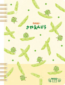 Ð쎆H ʌ B6 Om[g ₦ǂJr[ XH25 FURUKAWASHIKO