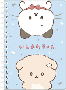 킿 Om[g B6 NY42702 TGbNX san-x