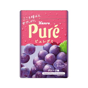 sO~ `bNt O[v Pure Kanro 땶 pfB ObY 46200501 funbox TJg