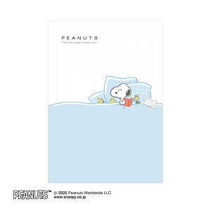 Xk[s[ ~L[NAm[g xbh^C PEANUTS 132246 NbNX CRUX