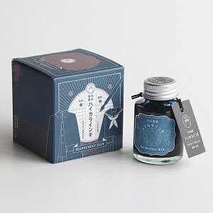インク インキ 大正浪漫 ハイカラインキ メランコリックブルー 万年筆インキ ギター TRH-40ML-T61 寺西化学