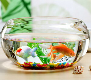  ی^  ^ 琅 KX _J  _J  e[u ANAE {E ϗtA e  CeA | e  (20cm)i25cmji30cmj