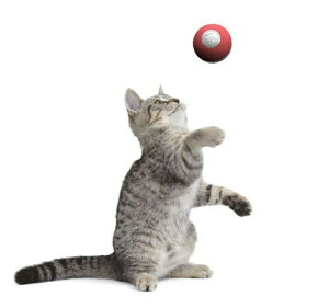 ybgp@Lpi L@@L炵LEDvt USB[d@lV ₵@^s΍ XgX L勻@킢 LbggC Lbg ] L ߋ