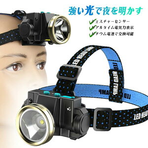 yP5{zwbhCg ނ@[d@y Ԓދނybgv@Ԍpgp\@^Ōy@[d\@drΉ@wbh@nCCg@Ǝ wbhCg dr