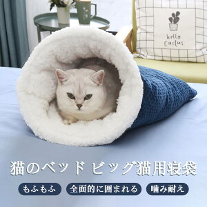 }\yP5{zL̐Q ӂӂ lGߒʗp ϖCǂ H~p ݑς ʋCQ \tg ybgxbh ݂ g K GRގ