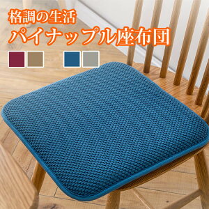 椅子用 座布団 おしゃれの人気商品 通販 価格比較 価格 Com