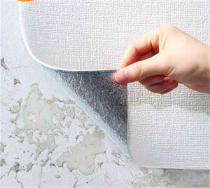 ǎ  10m ւ  V[ C ǎV[ CNV[g NbVV[g ͂ tH[  Lb` gC ʏ h l