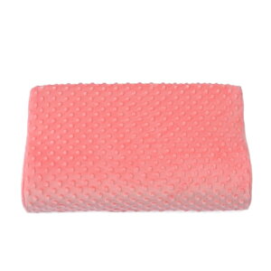 Jo[ 30*50cm 2Zbg qp ebNXp 􂦂 Q n tl H~  g Ȃ߂炩 ӂӂ  NbVJo[ M pbhJo[ Vv  