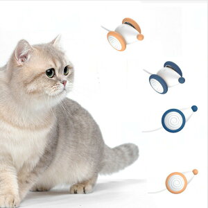 L d˂ EBLbh}EX  邵 C^NeBu USB[d ȒP [Xs[h OȂ Ԃ ^s XgX DS L