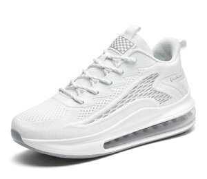 Xj[J[ Y  bV  EH[LOV[Y ₷ w X|[cV[Y ʋ ʊw