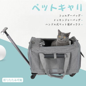 }\yP5{zLX^[t o◷s bNɂJ[gɂI܂肽 ybgobO gp@ nhwhAVOV_[Ag[ ybgo