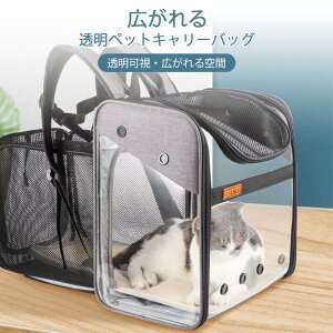 }\yP5{z@\ ybgL[obO ^ ʋC  ֗ ړp   gуobO UP[W ^ybgL[Jo[fރybgobNpbN ܂