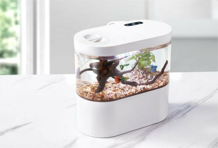 楽天市場】LEDライトフィルターポンプ付き水槽セット  