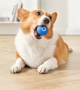 yVRSrOKIz  {[  S  d{[ Cheerble {[  h oEh@\ {[ VRS S USB[d ^s΍ XgX