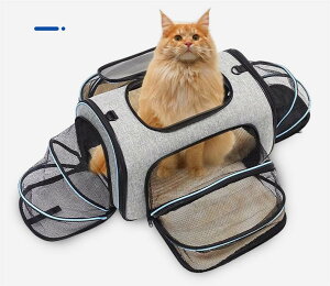 ybgL[ obO L ^  ybg L[ obO V_[h[ @ ^Ȃ |Pbgt ybgobO ܂肽 6kgω׏d y S bVEB