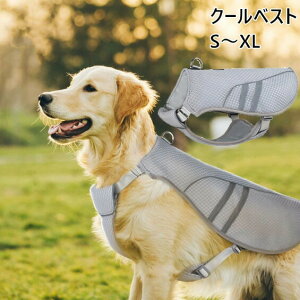 pN[xXg N[xXg S`XL p ⊴ pxXg ЂxXg ⊴ pĕ pR[g ʋC MǑ΍ Ăh o U đ΍